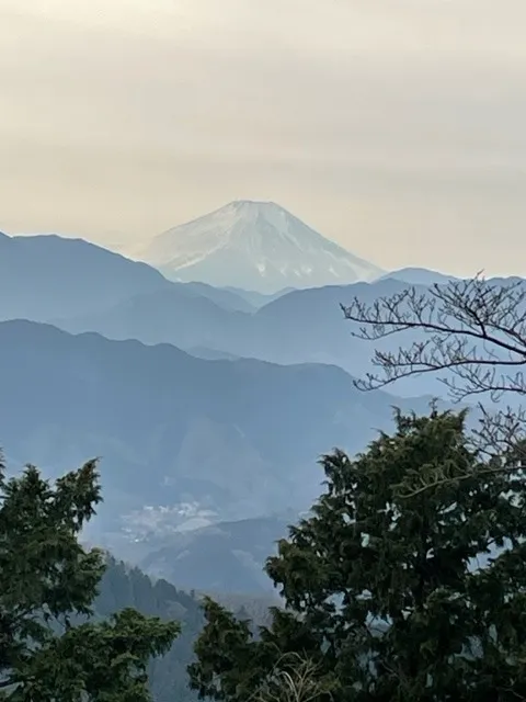 昨日は